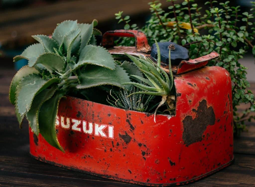 An old gas container succulent planter