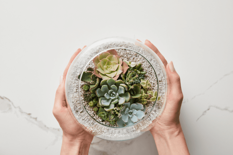 10 Gorgeous Succulent Centerpiece Ideas + How to Create One