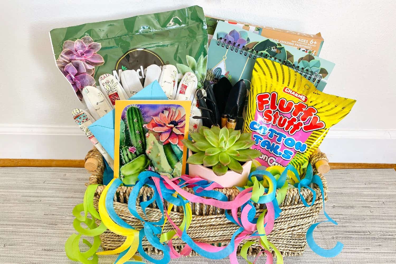20 Things to Include in a Succulent Gift Basket for Starters