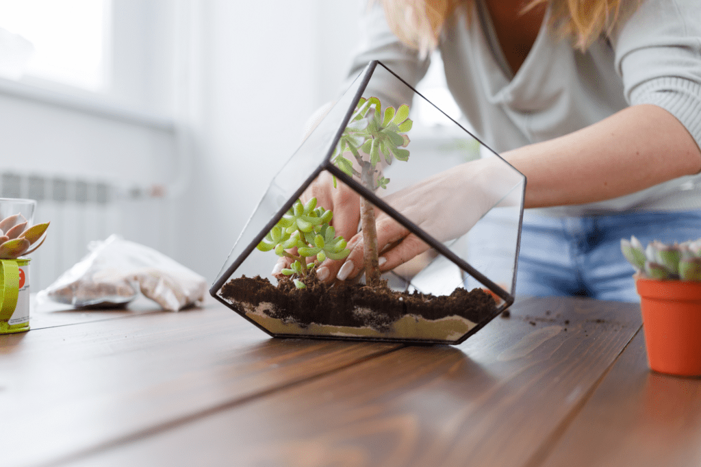 The Succulent Sprite - woman creating a terrarium