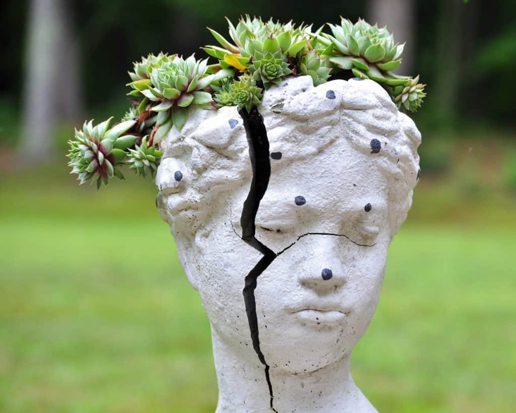 broken plaster bust succulent planter