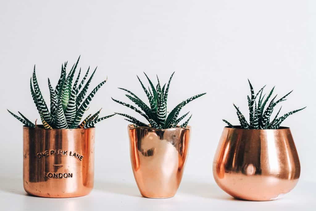 copper succulent planters