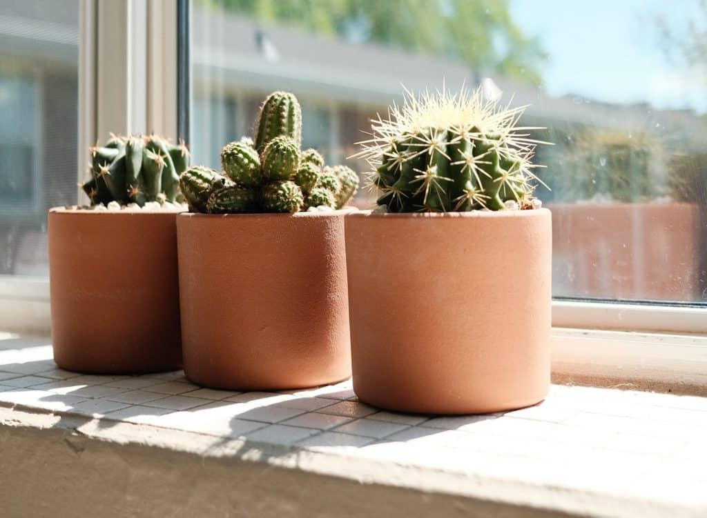 cylinder terracotta succulent planters