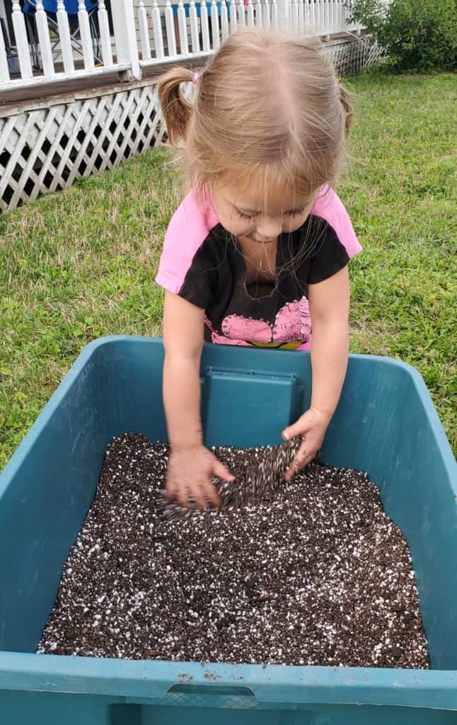 little girl mixing succulent soil in a tote