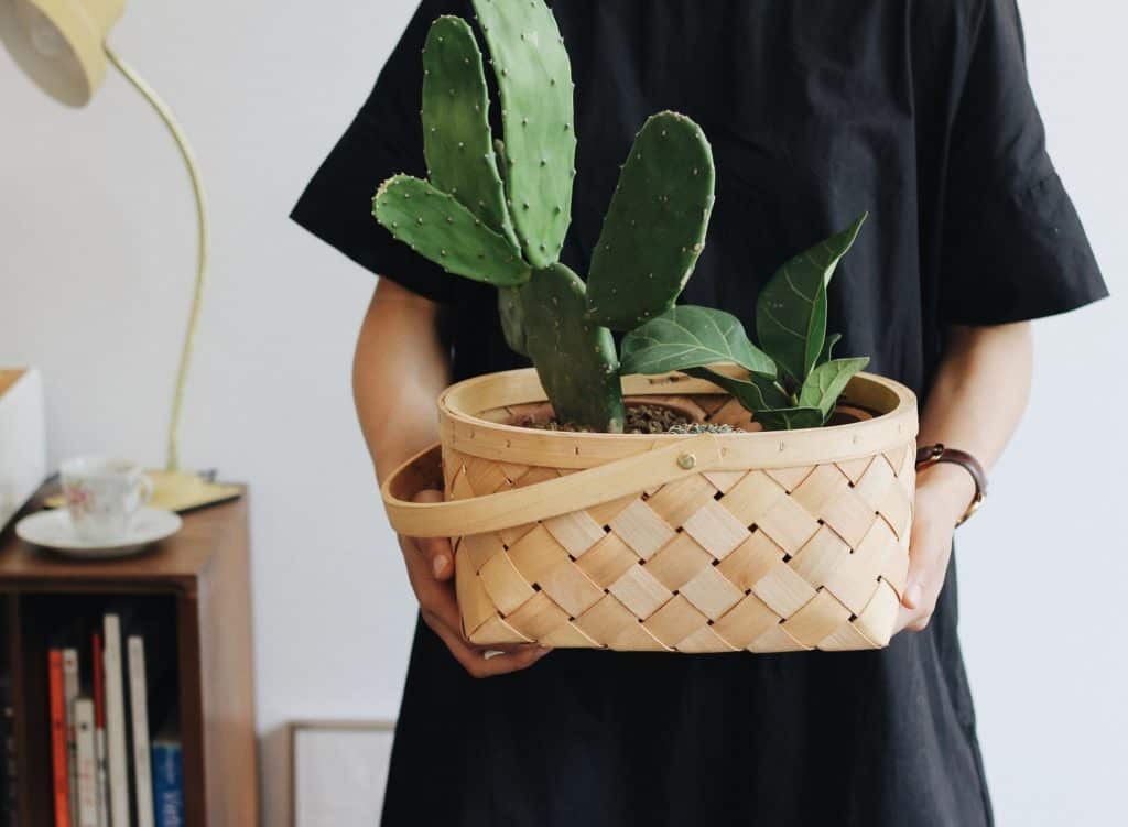 https://thesucculentsprite.com/wp-content/uploads/2022/08/shallow-basket-succulent-planter-1024x751.jpg