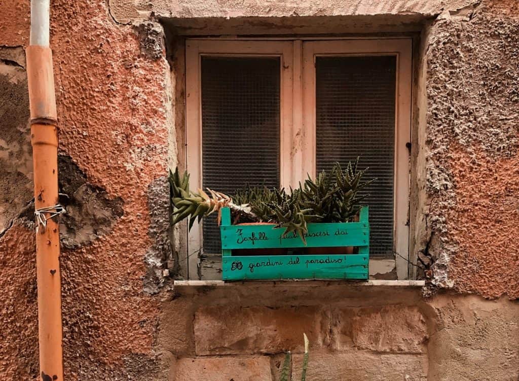 wooden crate succulent plant holder