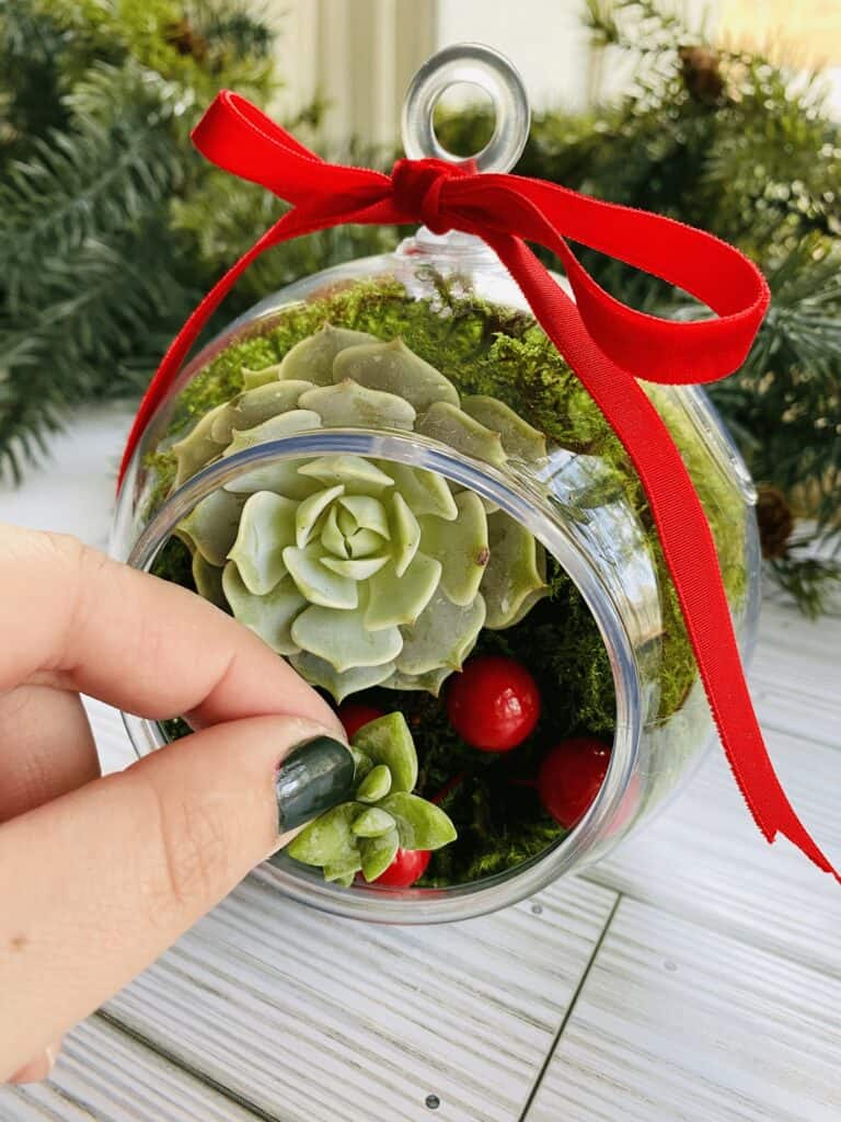 Adding succulents to an ornament