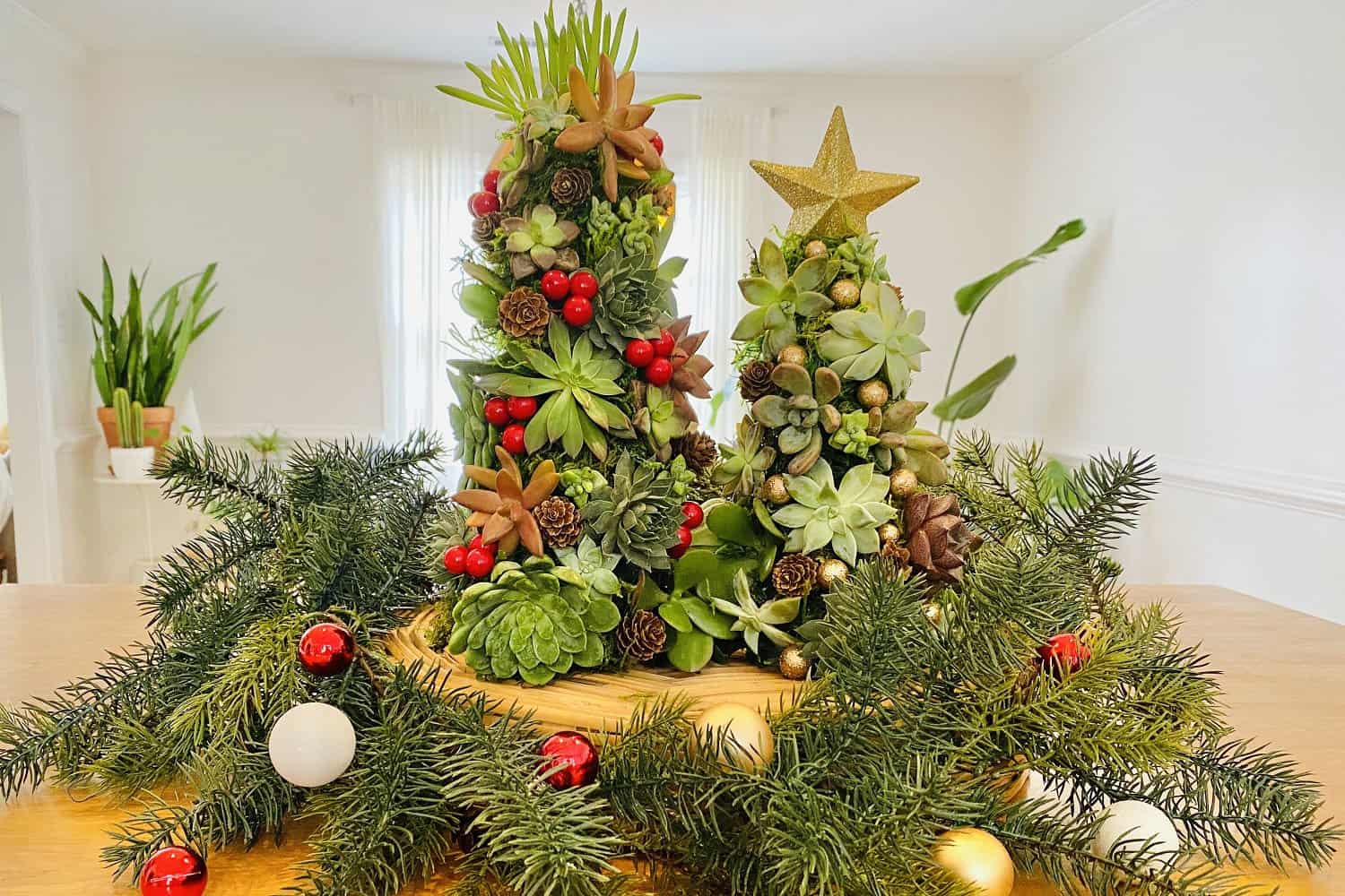 Succulent Christmas trees
