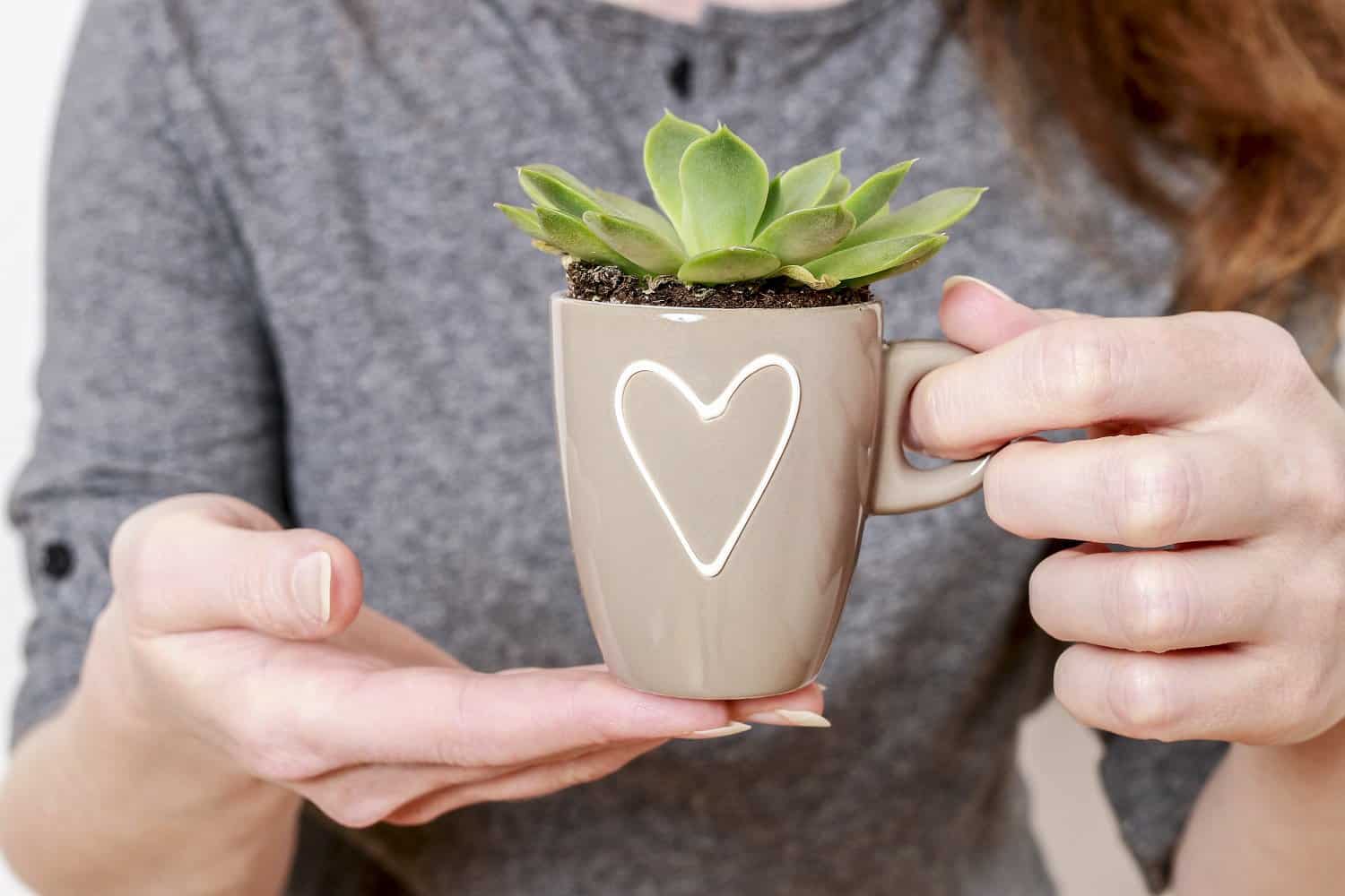 Woman holding a succulent in a mug