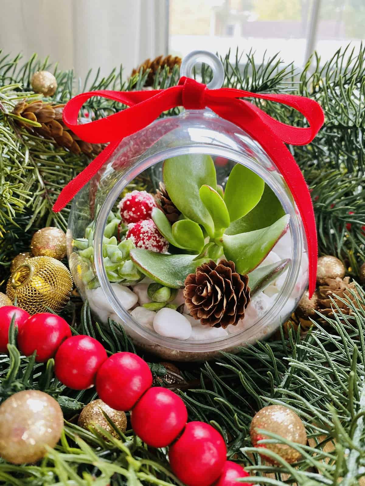 How to Make a Living Succulent Christmas Tree Ornament