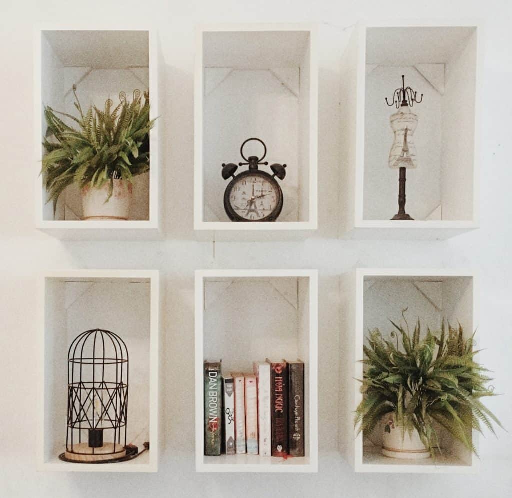 cube shelves with plants and decor