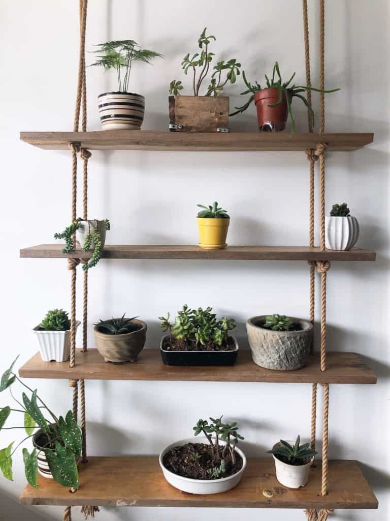 hanging rope shelves with succulents