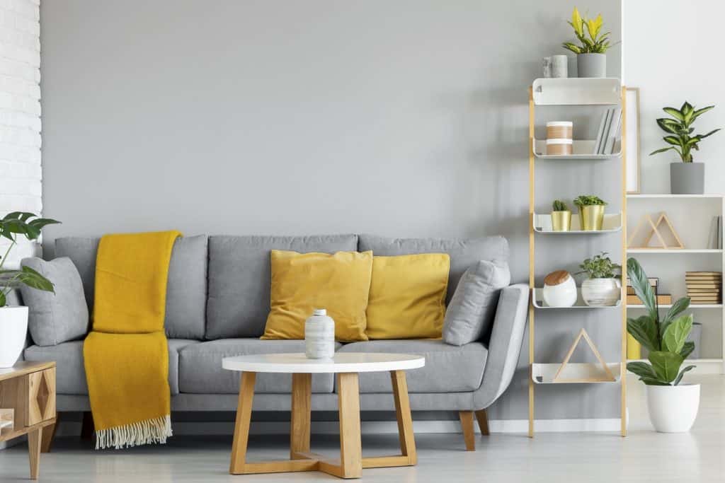 living room scene with succulents on a ladder shelf