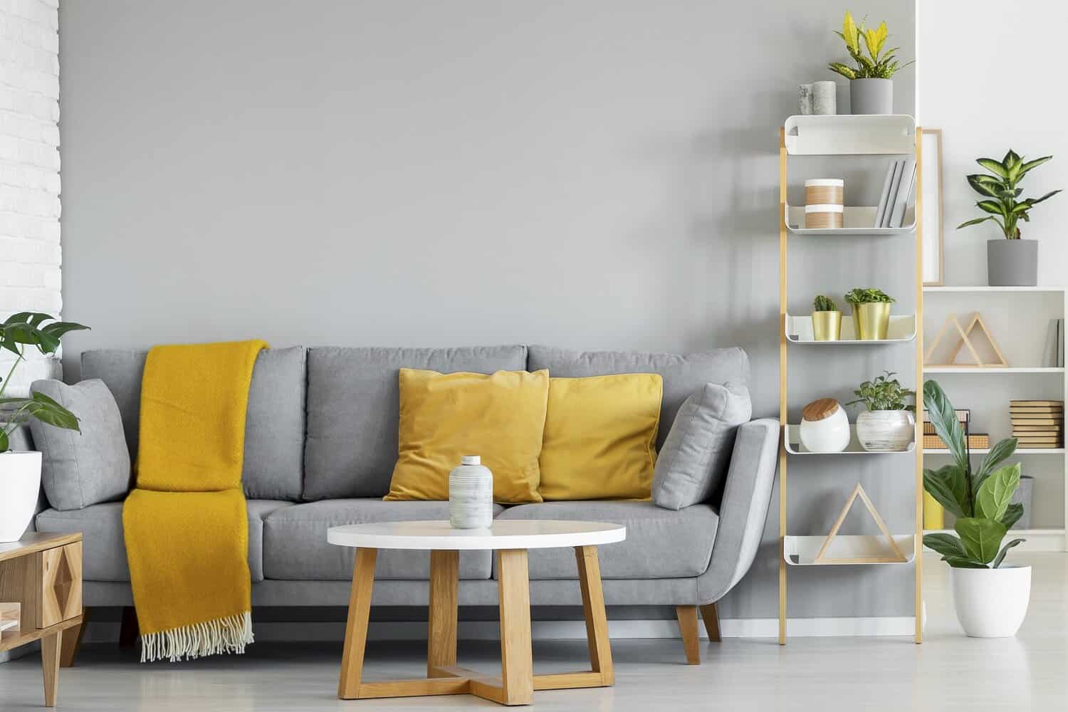 15 Stylish Succulent Shelf Ideas You Can Buy or Recreate
