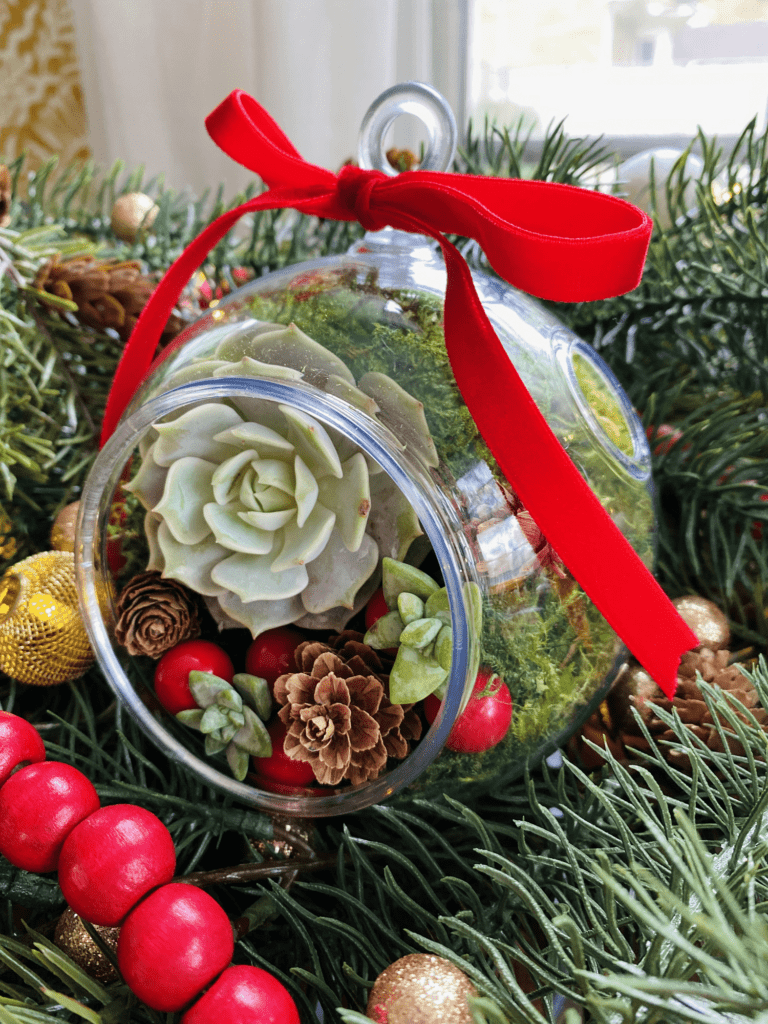 succulent ornament displayed on pine