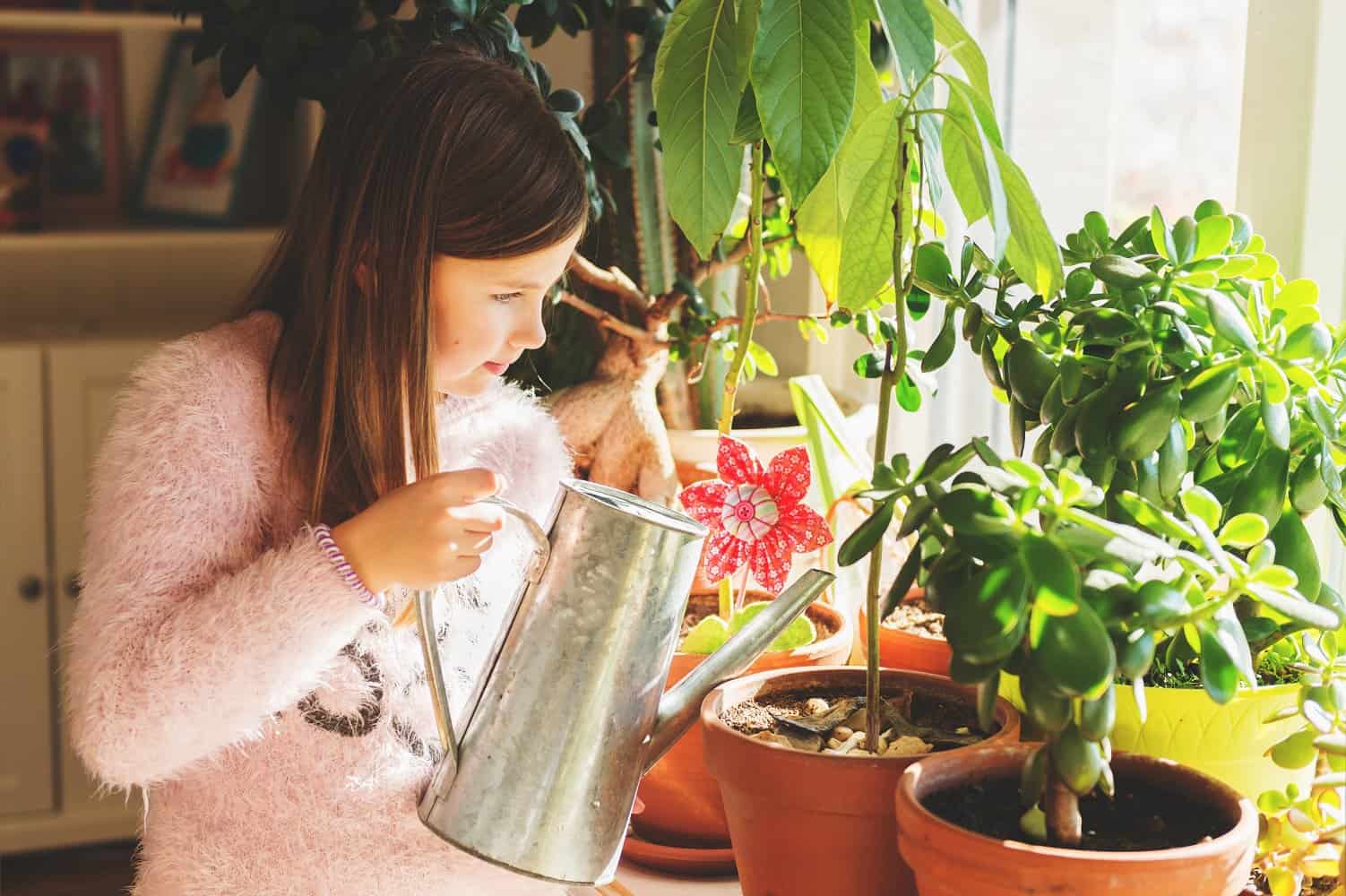 girl holding watering can over large succulents