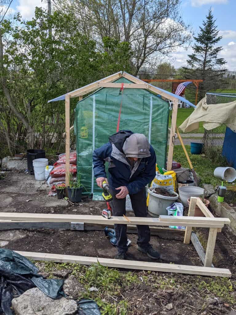 Man setting up a succulent greenhouse outside