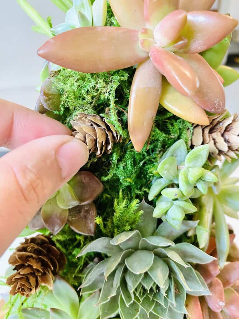 adding small pinecones to succulent Christmas tree