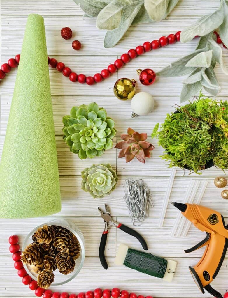 succulent Christmas tree supplies