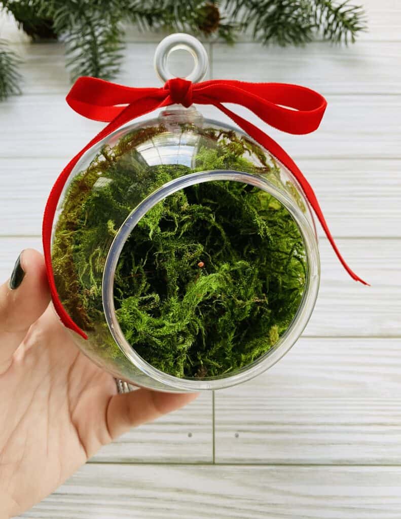 succulent ornament with moss
