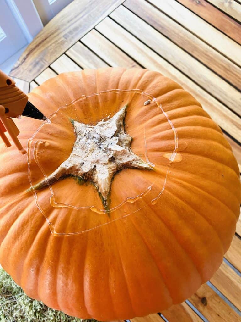 squeezing hot glue onto a pumpkin