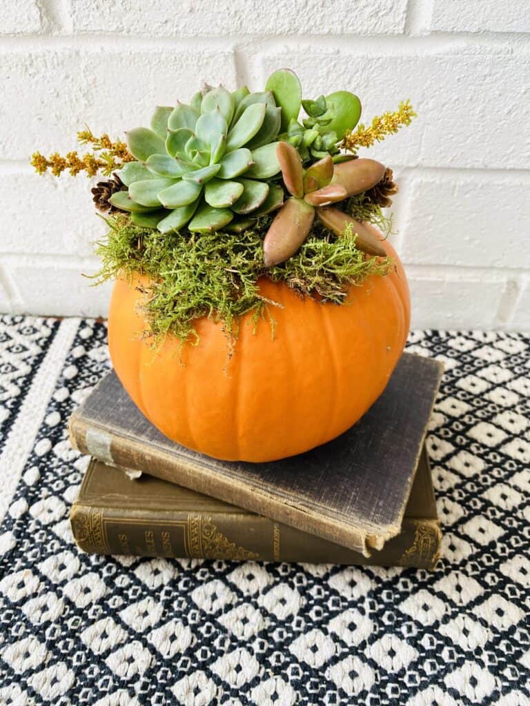 small succulent pumpkin planter on a stack of books