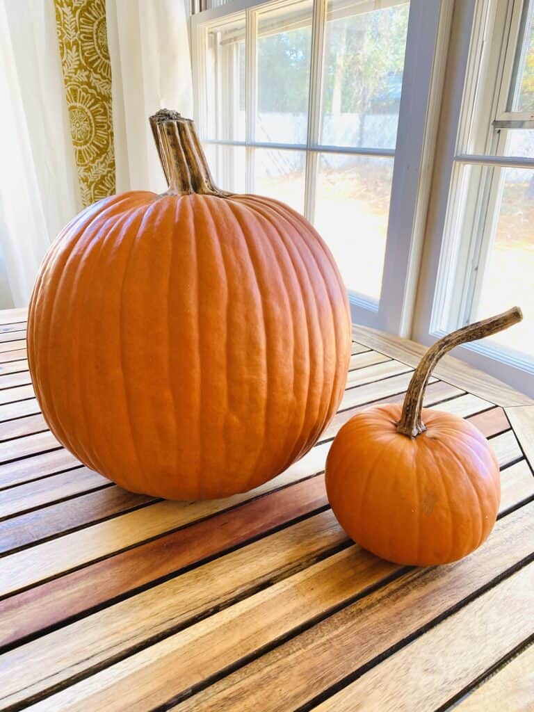 two orange pumpkins on a table