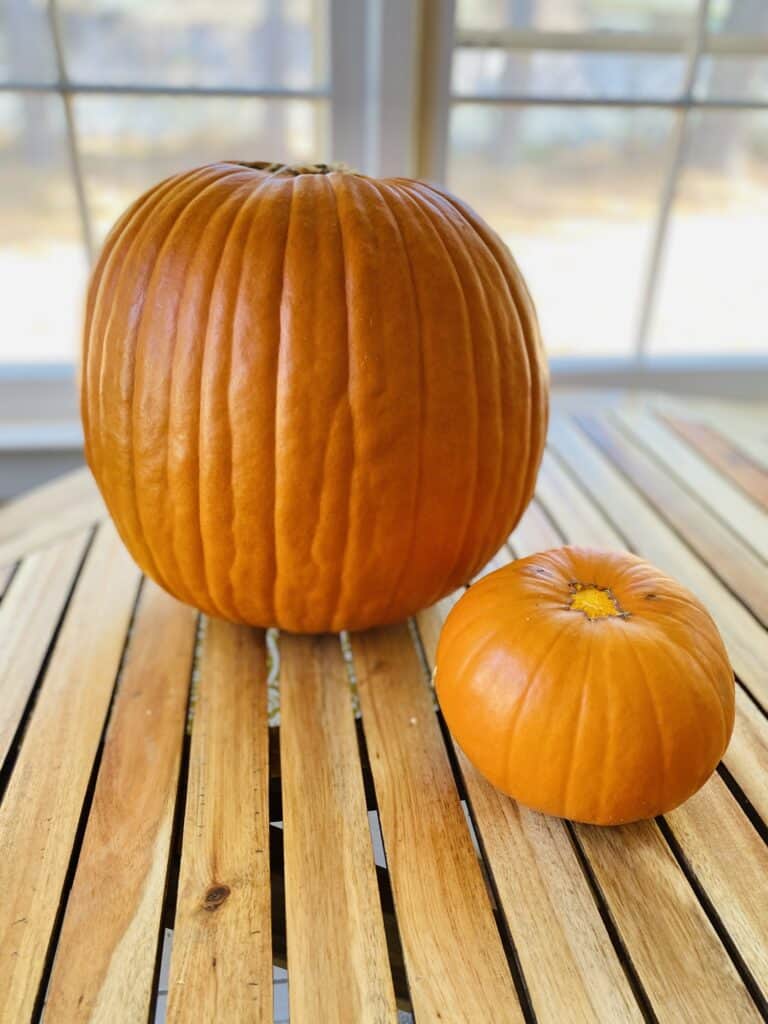 two pumpkins with stems removed