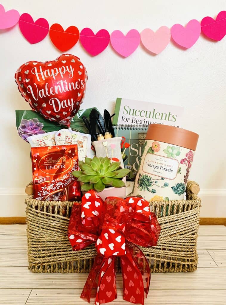 Succulent gift basket for Valentine's Day