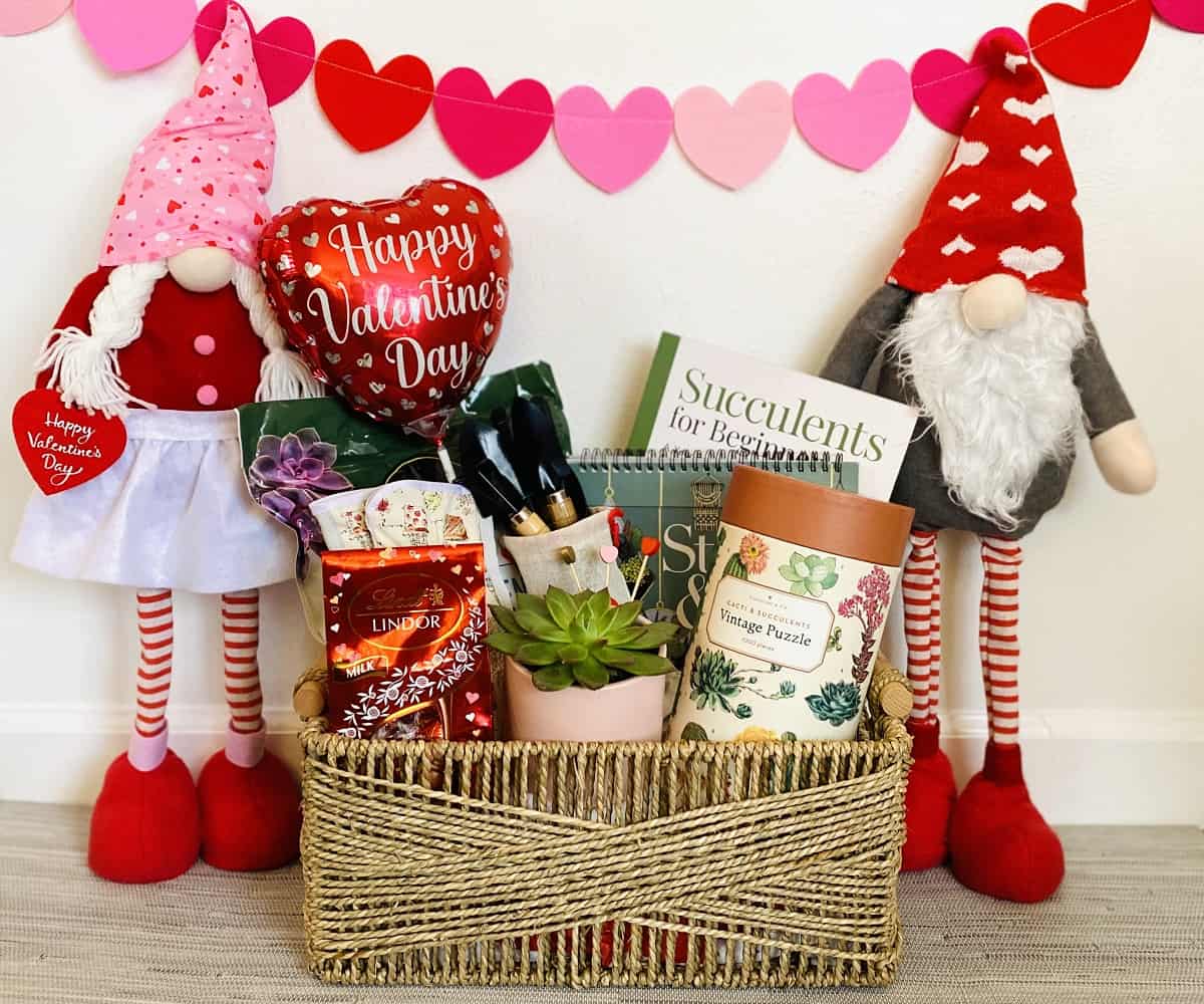 Valentine's Day succulent gift basket