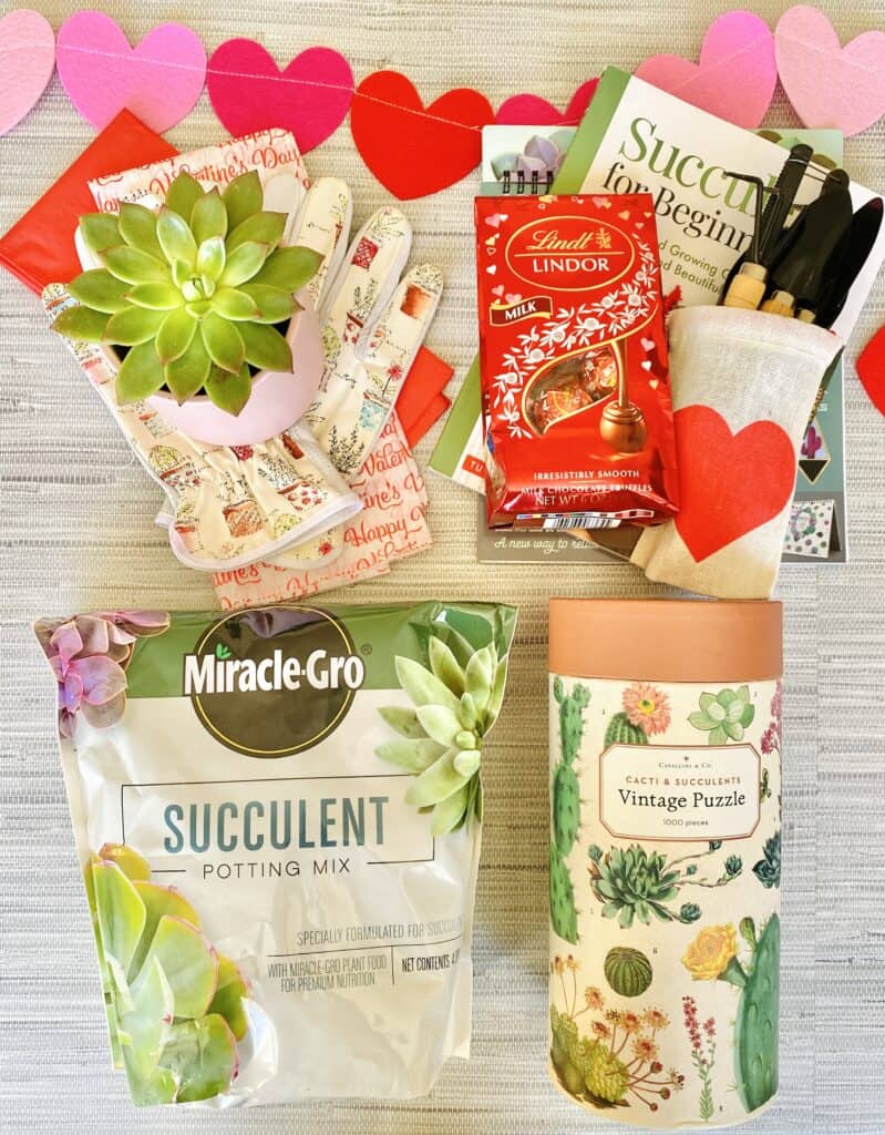 flat lay of items to include in Valentine's Day succulent gift basket