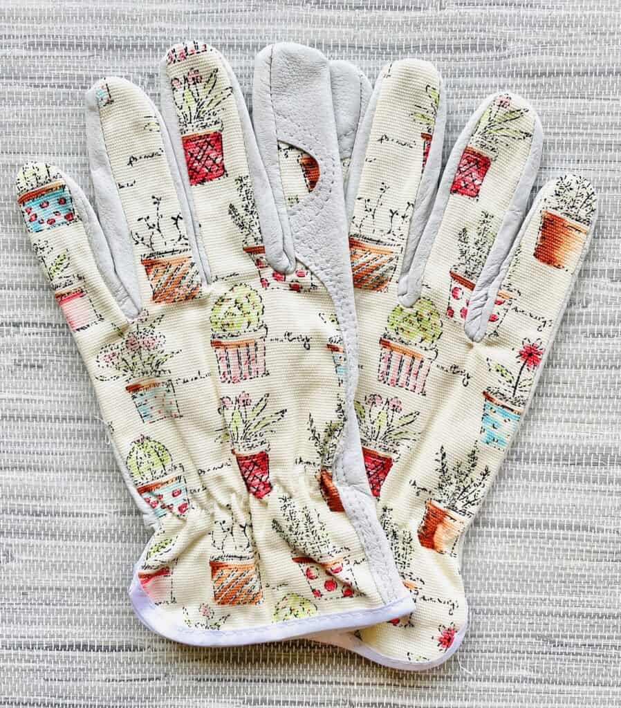 succulent gardening gloves