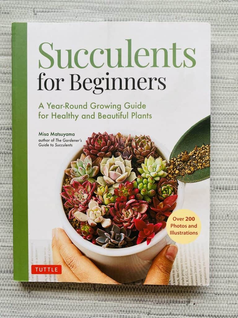 succulents for beginners book