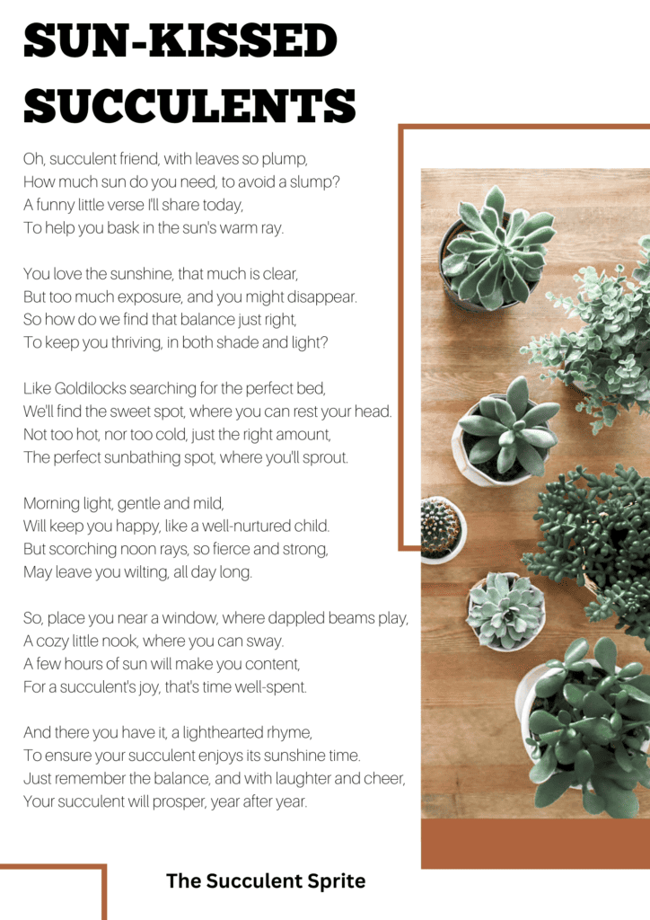 Sun-Kissed Succulents poem graphic