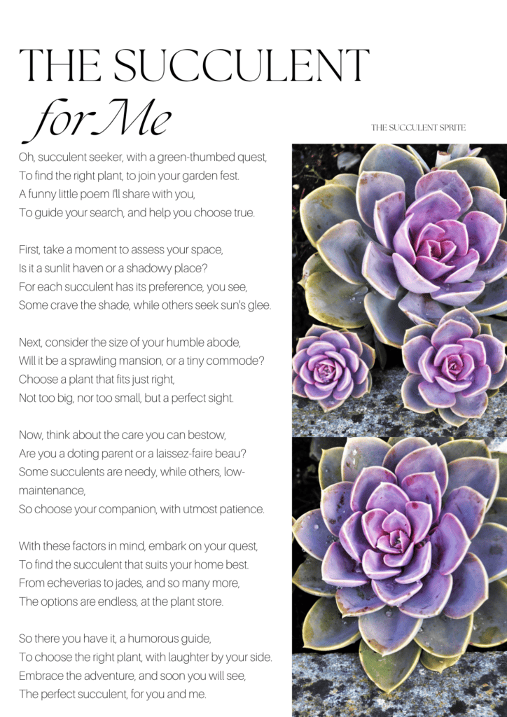 The Succulent for Me poem graphic