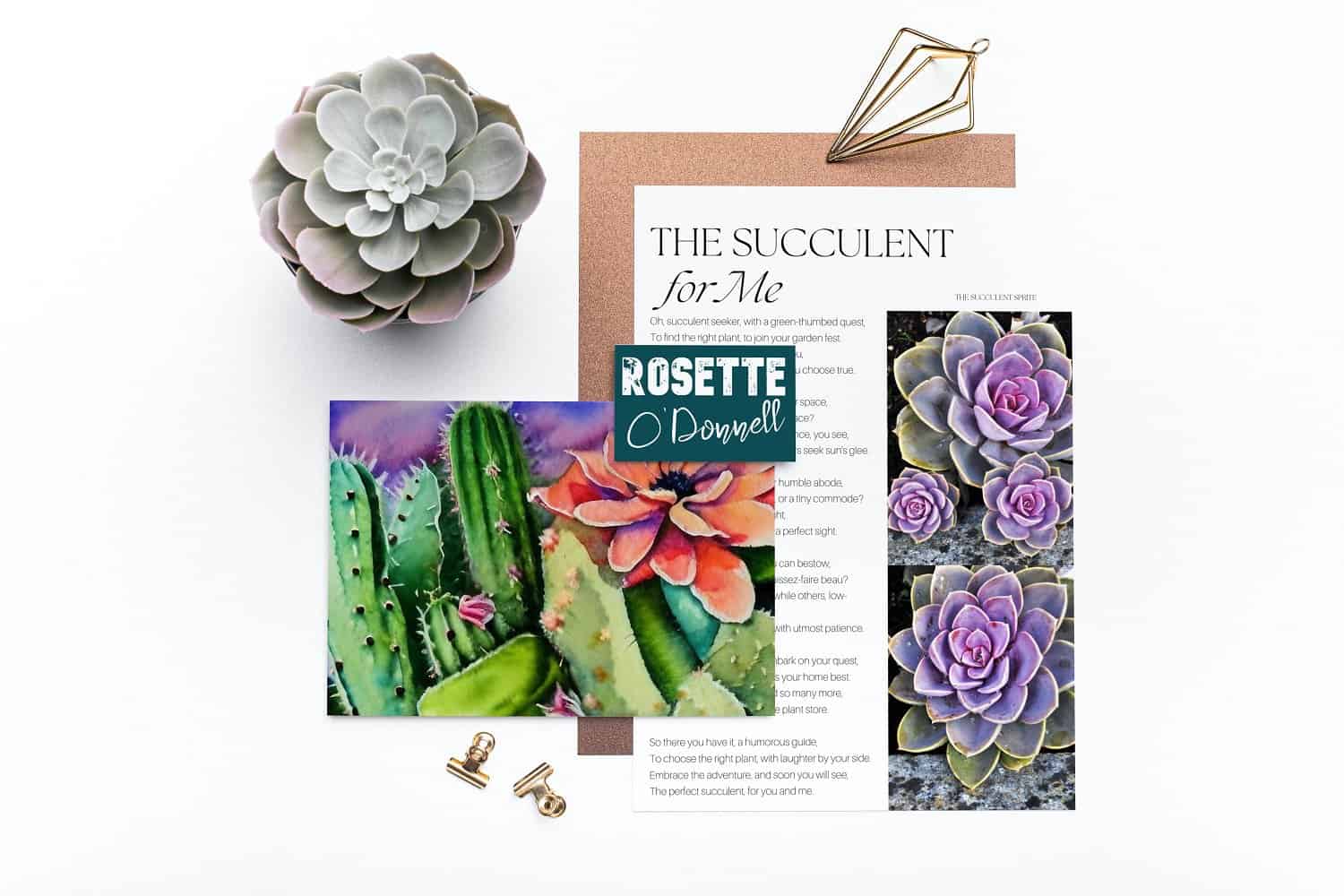 flatlay of succulent with name tag of celebrity pun - Rosette O'Donnell